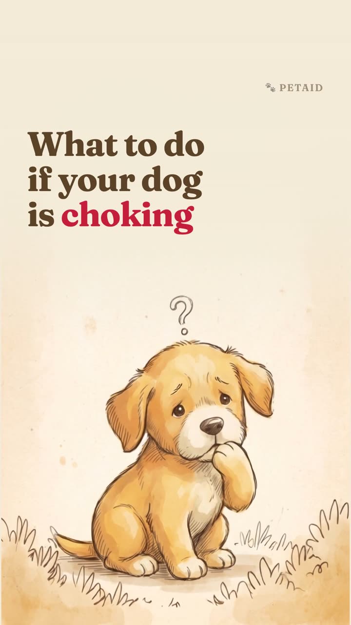 What to do if your dog is choking